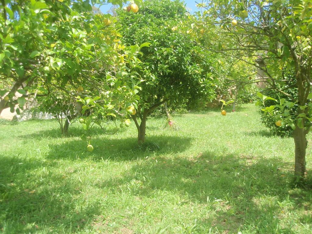 Apartamentos Arcos Del Esva Luarca Ngoại thất bức ảnh